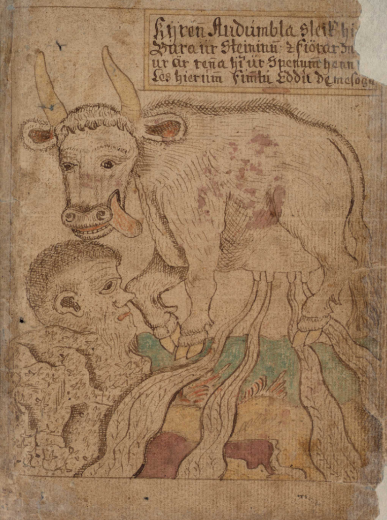 Die Kuh Auðhumbla leckt den Stammvater Búri aus einem Stein. Aus ihrer Milch nährt sich der Urriese Ymir, aus dem Odin und seine Brüdern Vili und Vé die Welt erschaffen (Quelle: Darst. aus einer nachmittelalterlichen, isländischen Handschrift (1765/​66).
